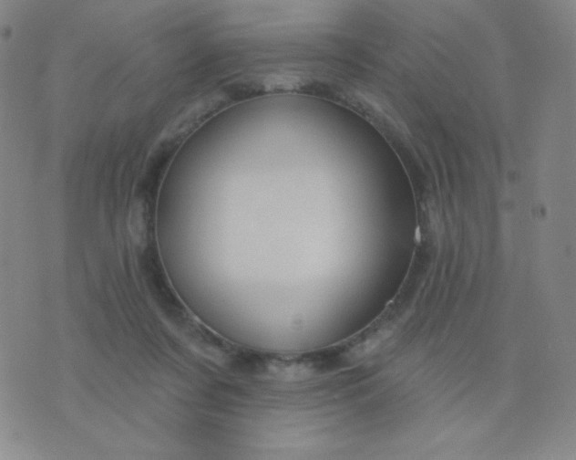 X0000076220311200610122056