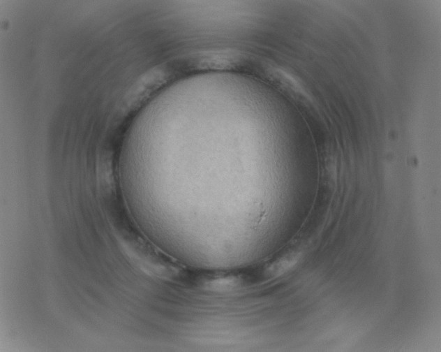 X0000076220312200610122056