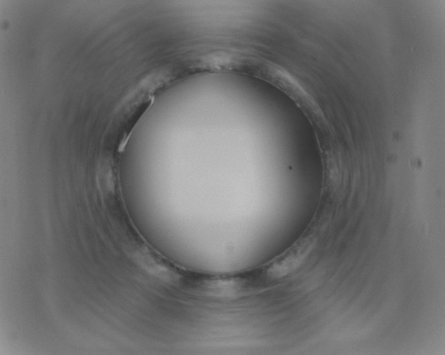 X0000076220313200610122056