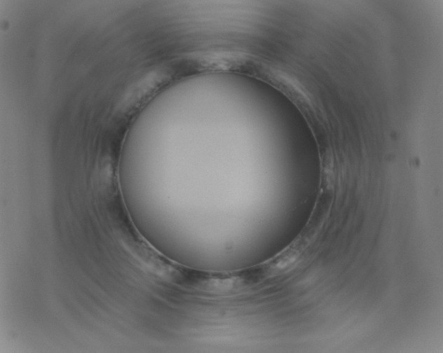 X0000076220314200610122056