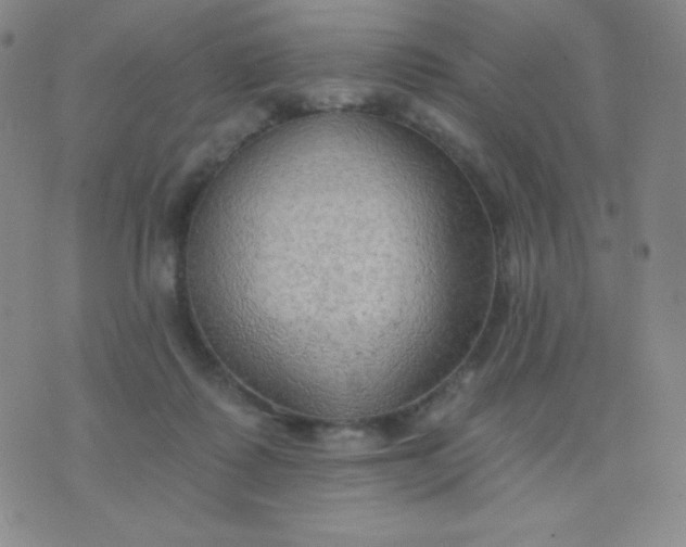 X0000076220315200610122056