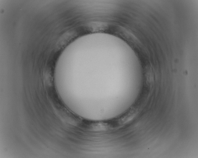 X0000076220316200610122056