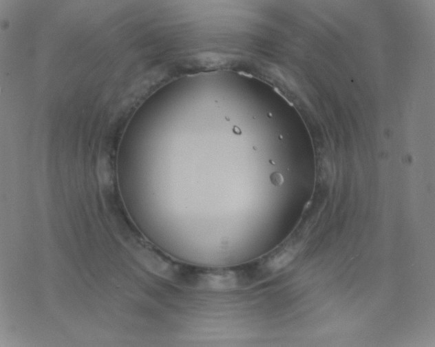 X0000076220317200610122056