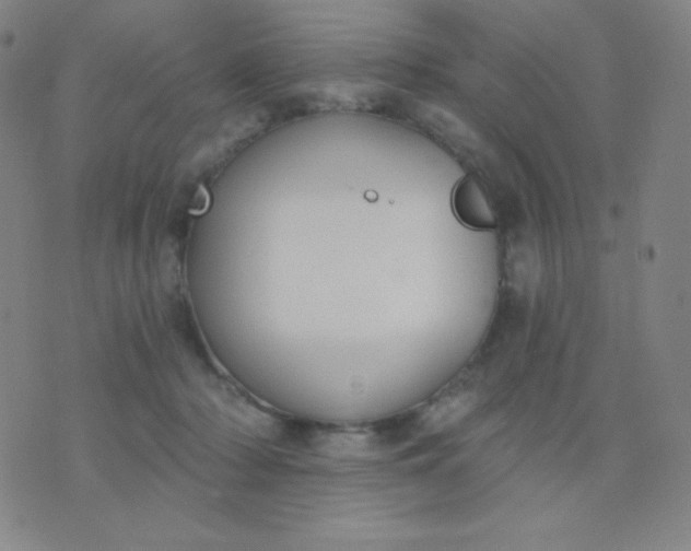 X0000076220318200610122056