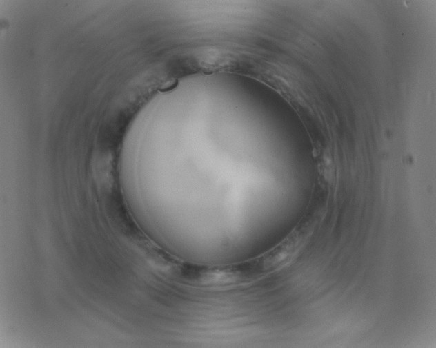 X0000076220319200610122056