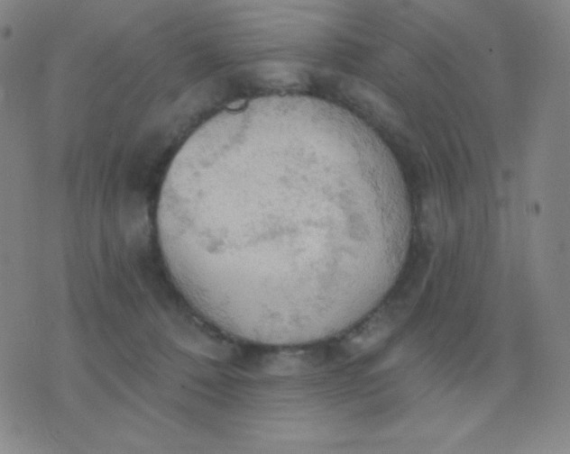 X0000076220320200610122056