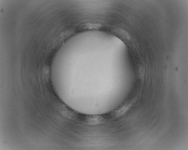 X0000076220321200610122056