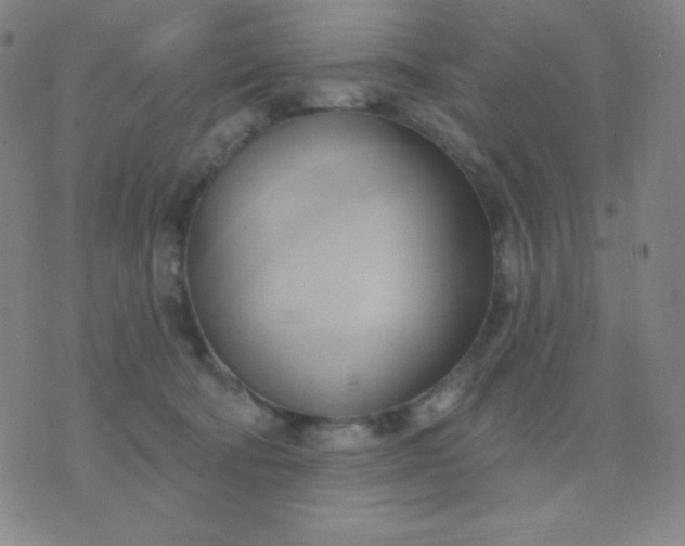 X0000076220322200610122056