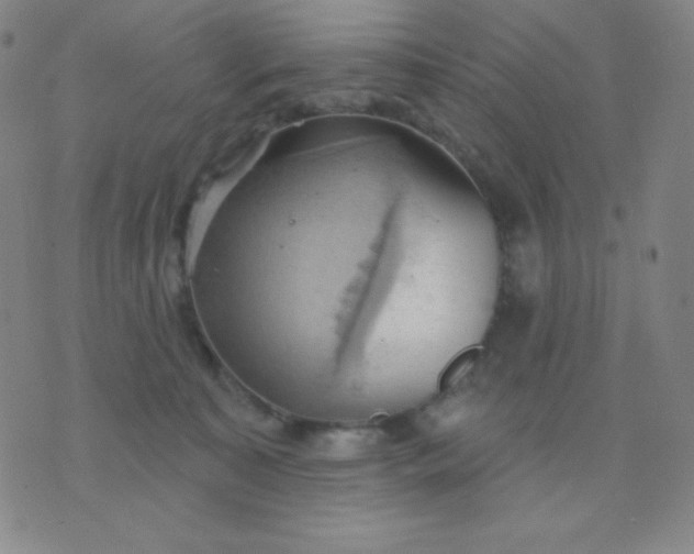 X0000076220323200610122056