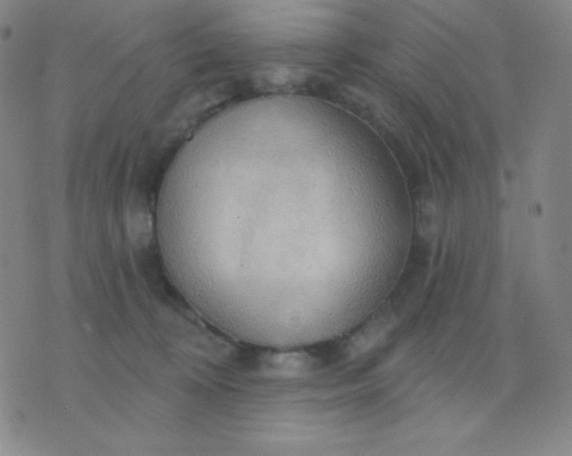 X0000076220324200610122056