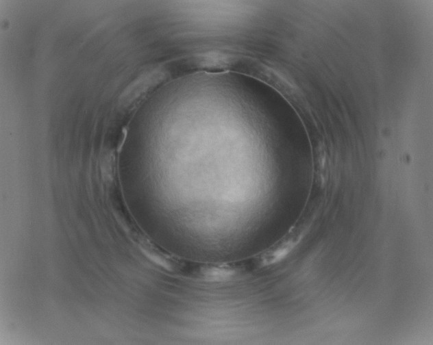 X0000076220325200610122056