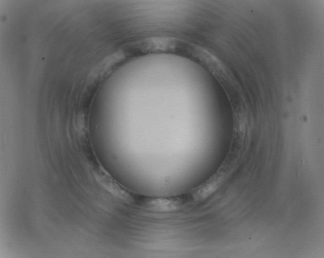 X0000076220326200610122056