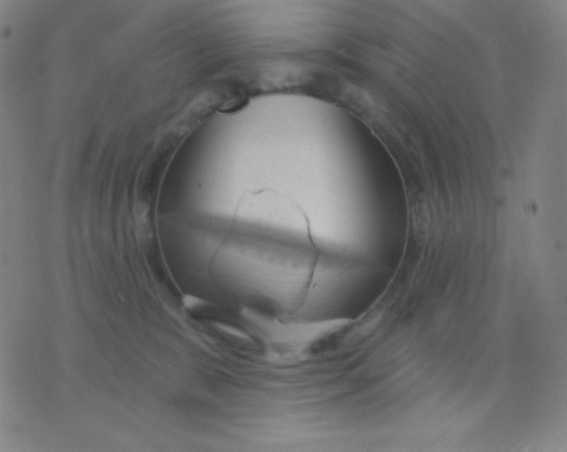 X0000076220327200610122056