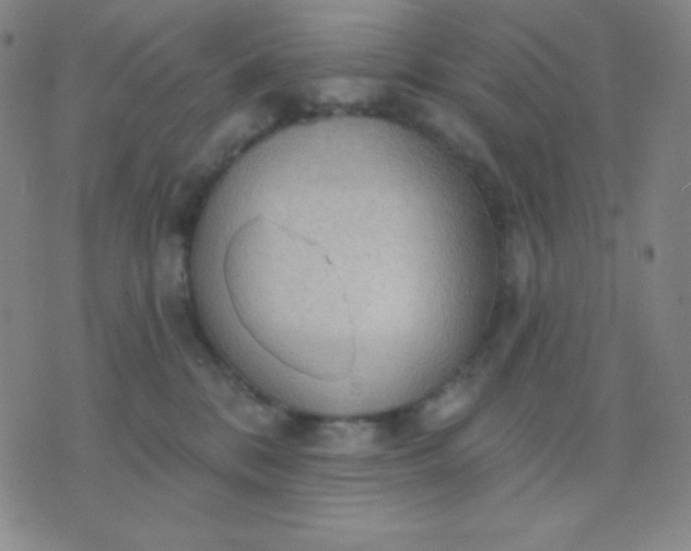 X0000076220328200610122056