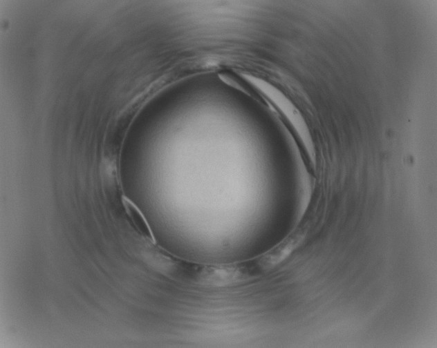 X0000076220329200610122056