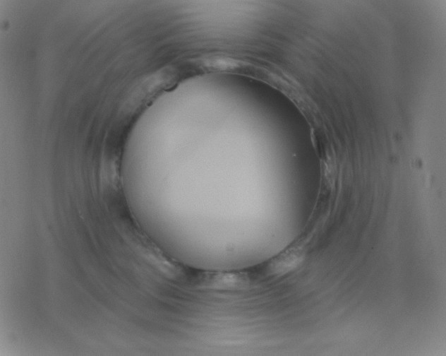 X0000076220330200610122056