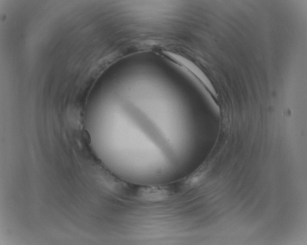 X0000076220331200610122056