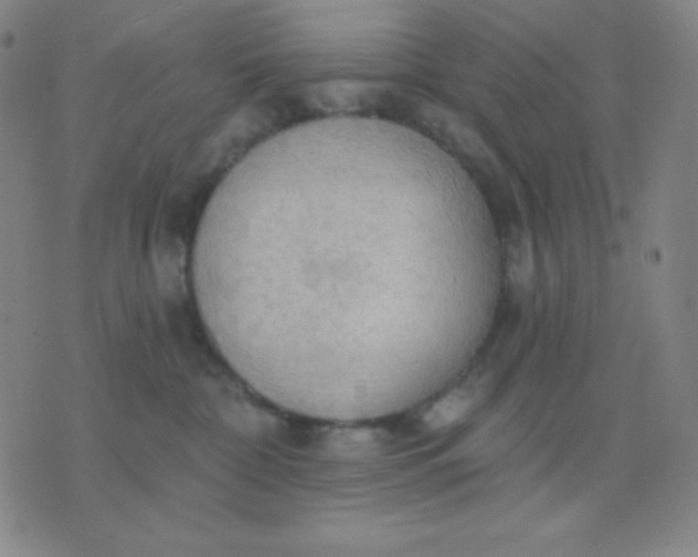 X0000076220332200610122056