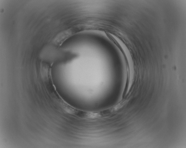 X0000076220333200610122056