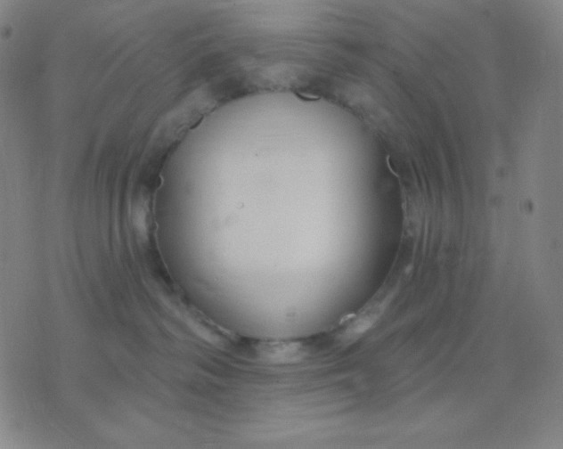 X0000076220334200610122056