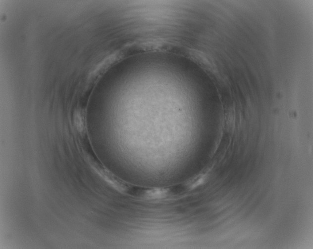 X0000076220335200610122056