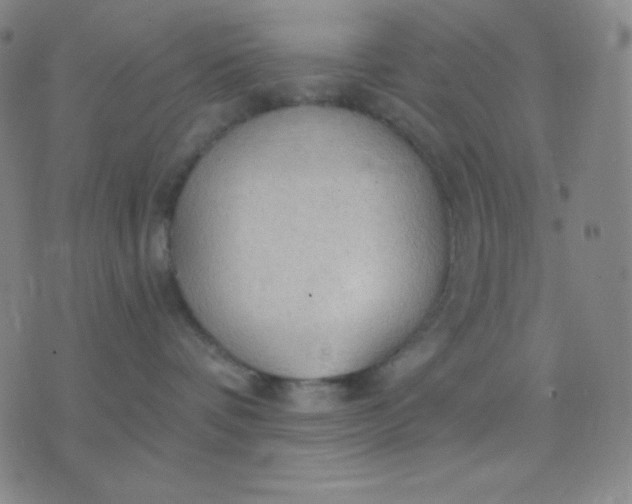 X0000076220336200610122056