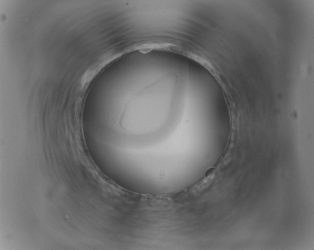 X0000076220337200610122055