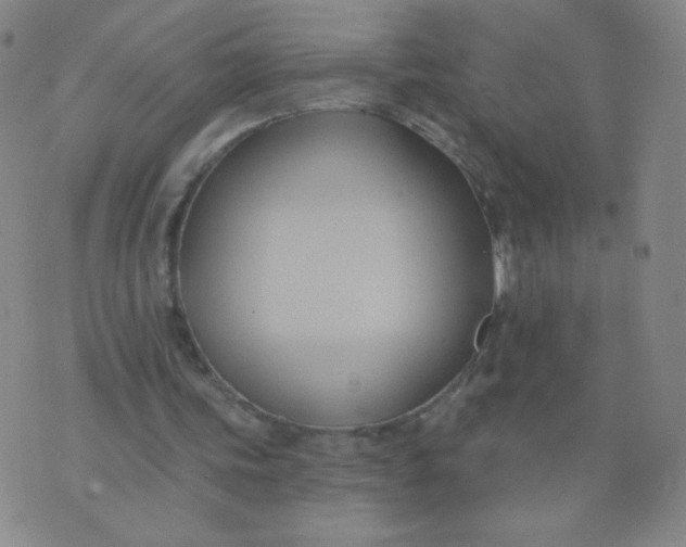 X0000076220339200610122055