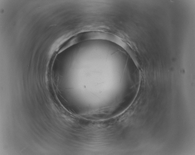 X0000076220340200610122055