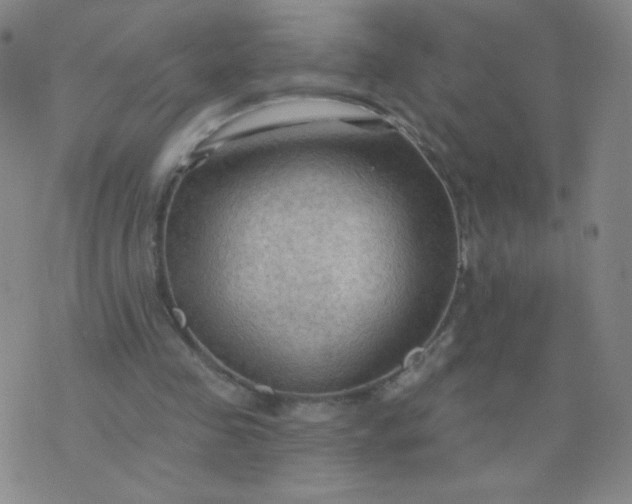 X0000076220341200610122055