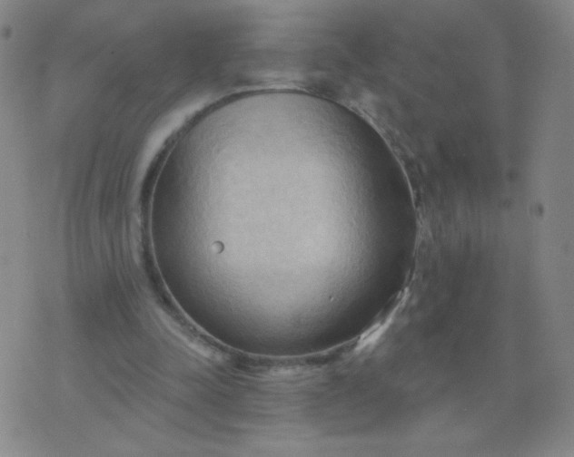 X0000076220342200610122055