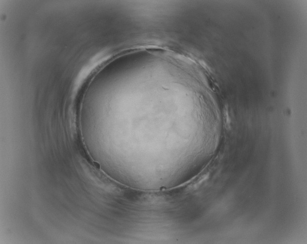 X0000076220343200610122055