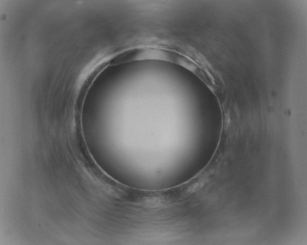 X0000076220344200610122055