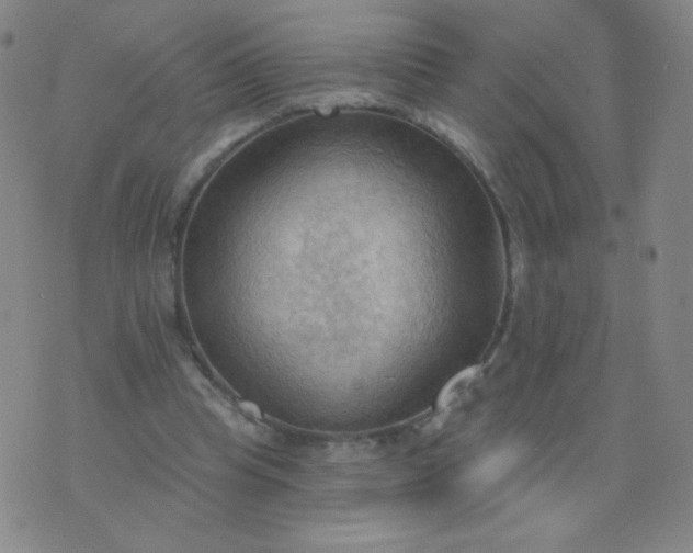 X0000076220345200610122055