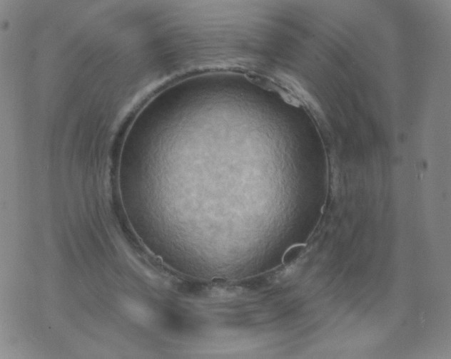 X0000076220346200610122055