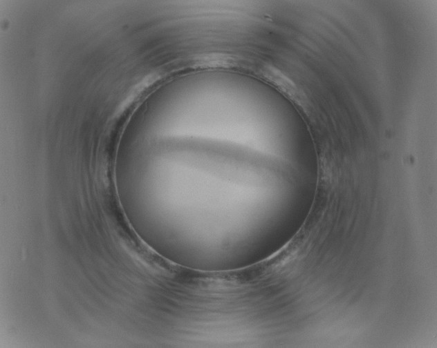 X0000076220347200610122055