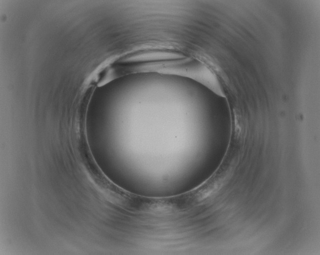 X0000076220348200610122055