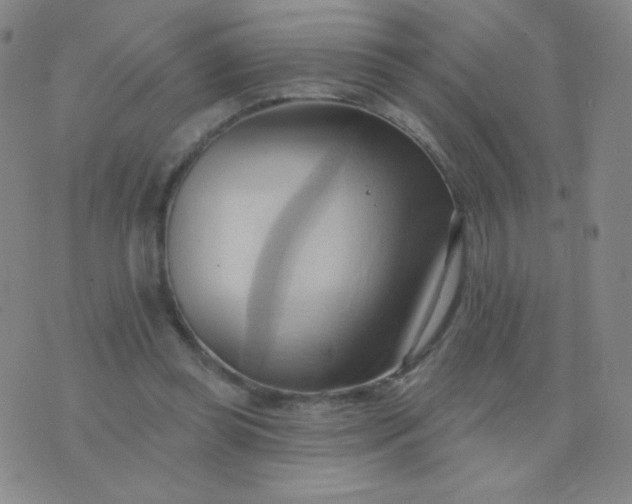 X0000076220349200610122055