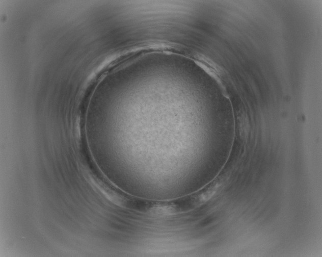 X0000076220350200610122055