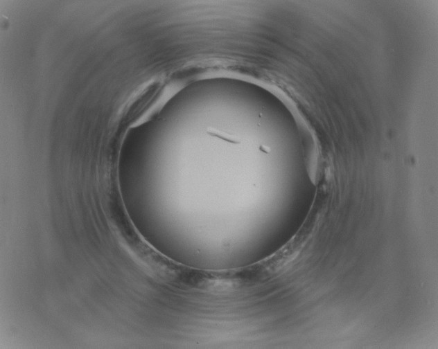 X0000076220352200610122055