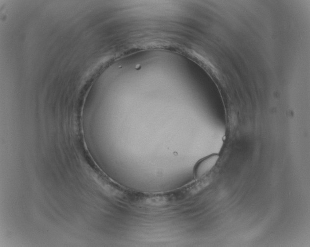 X0000076220353200610122055