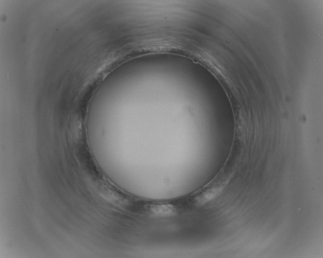 X0000076220355200610122055