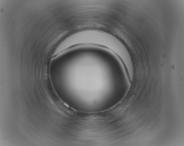 X0000076220356200610122055