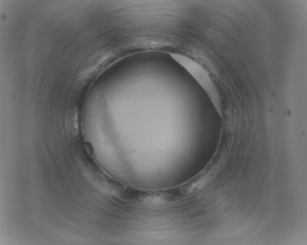 X0000076220358200610122056