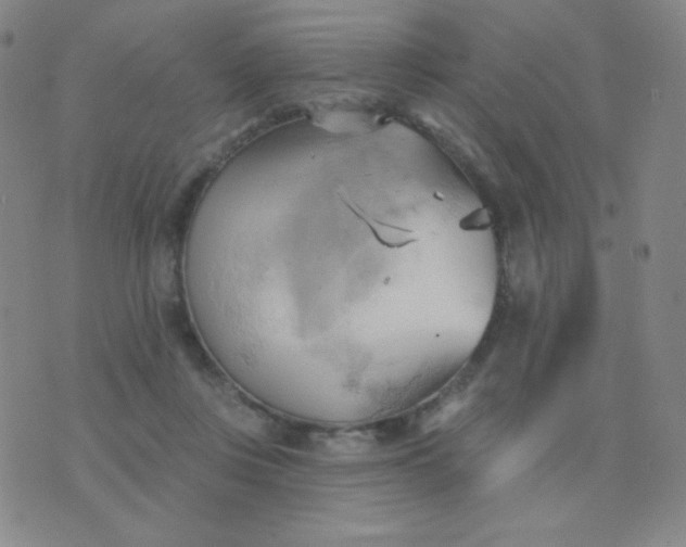 X0000076220359200610122056