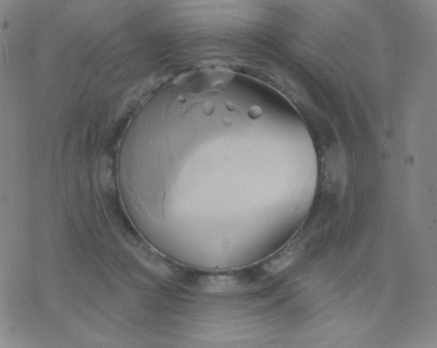 X0000076220361200610122056