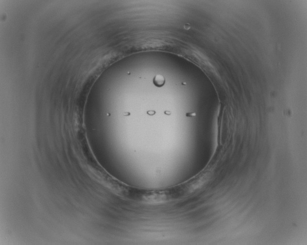 X0000076220362200610122056