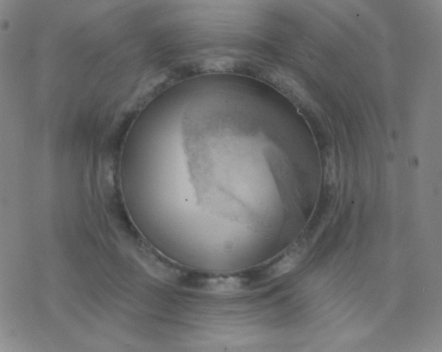 X0000076220363200610122056