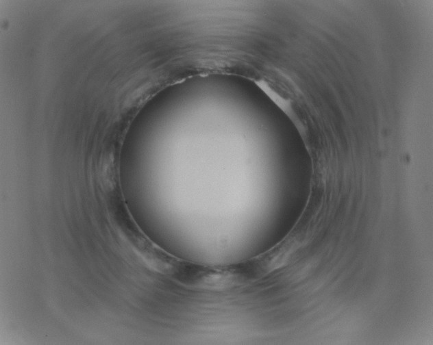 X0000076220364200610122056