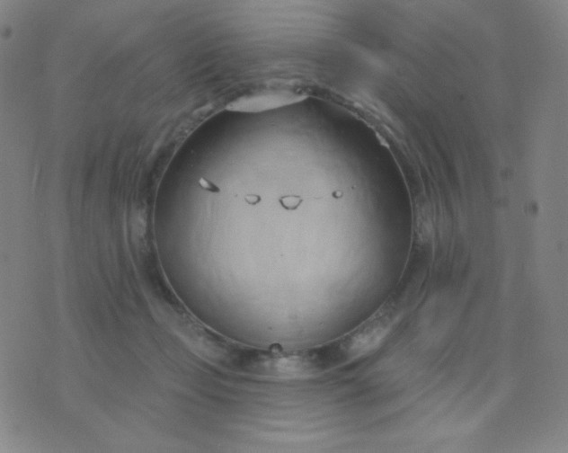 X0000076220365200610122056